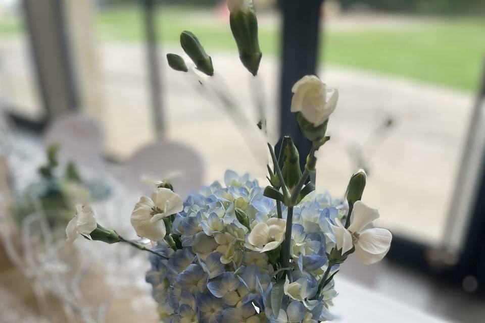 Hortensia