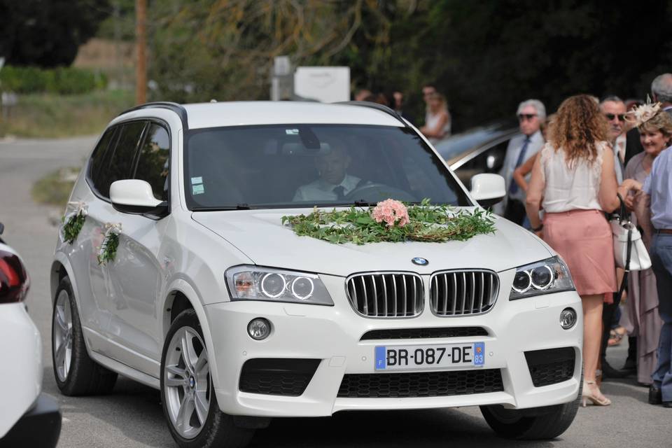 Décoration capot de voiture