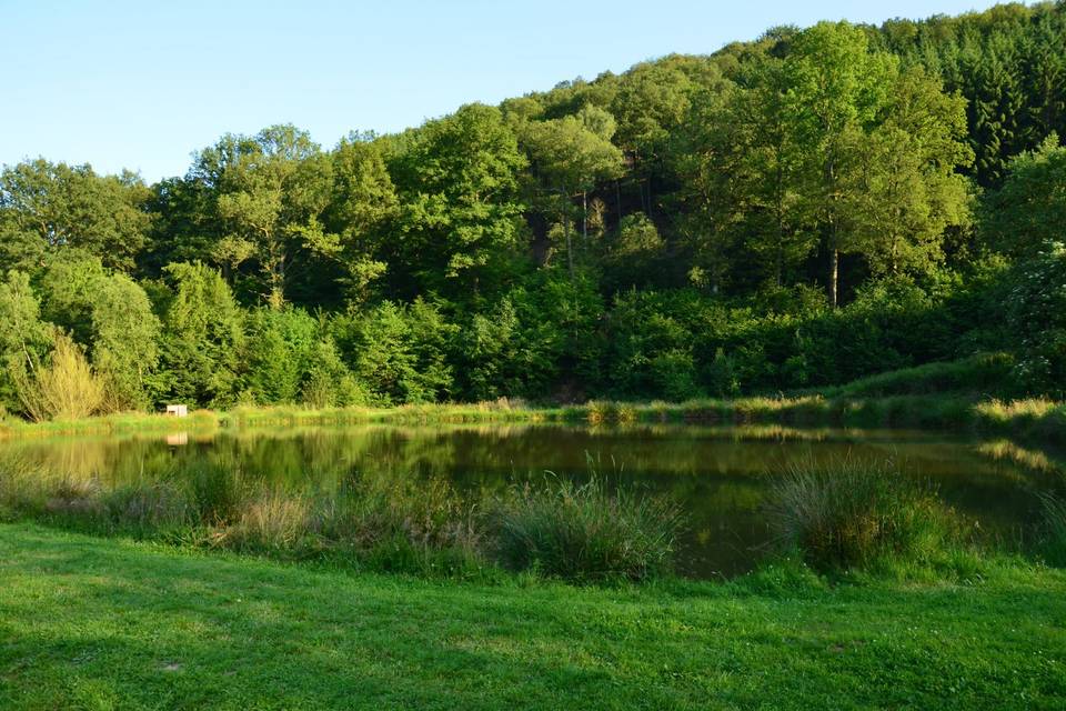 Etang