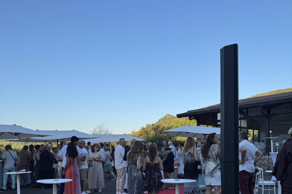 Cocktail