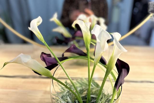 Calla