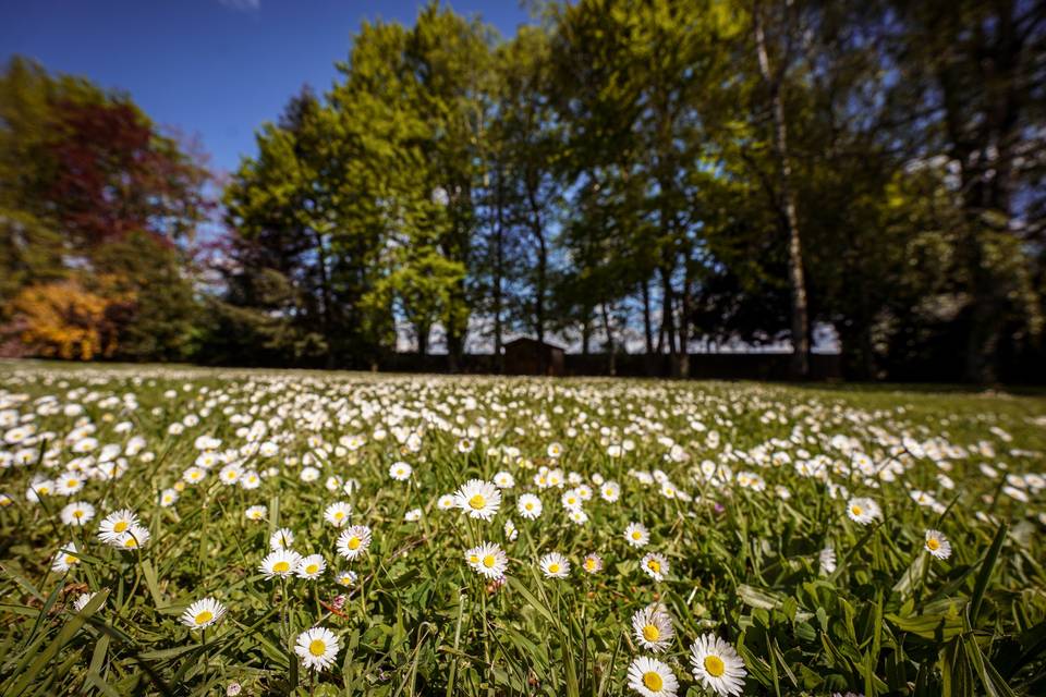 Parc naturel