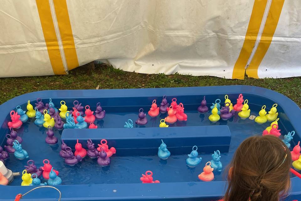 La pêche aux canards