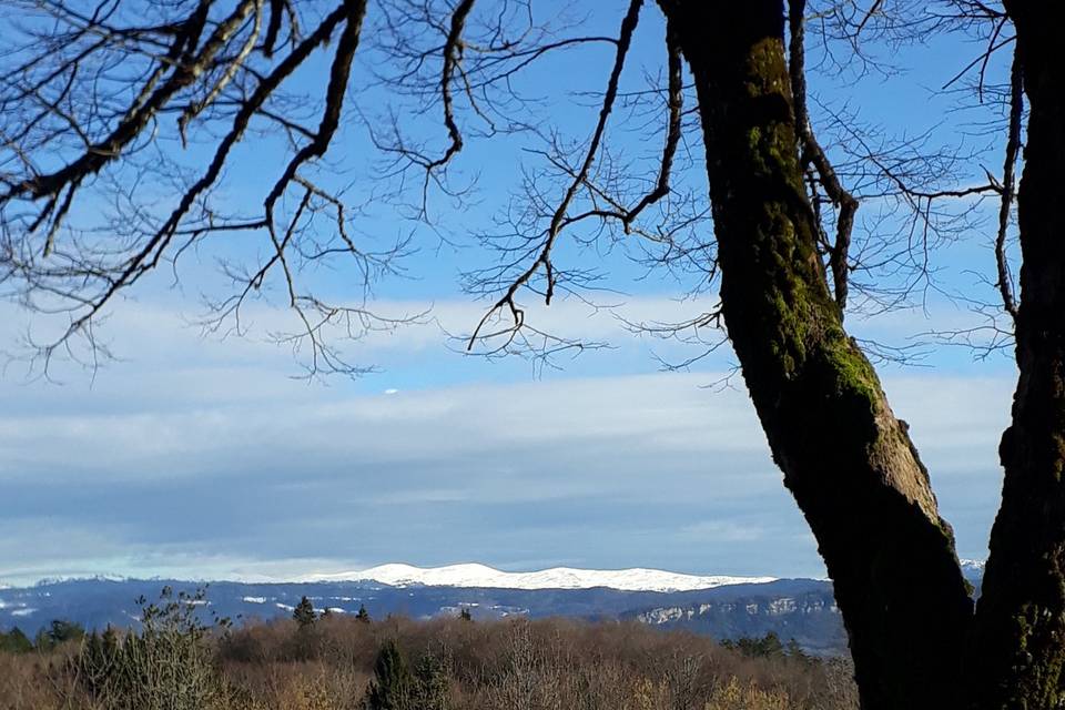 Chaîne des monts jura