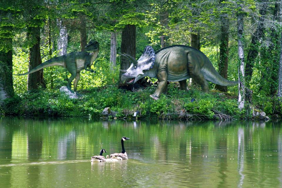 Ile aux Dino