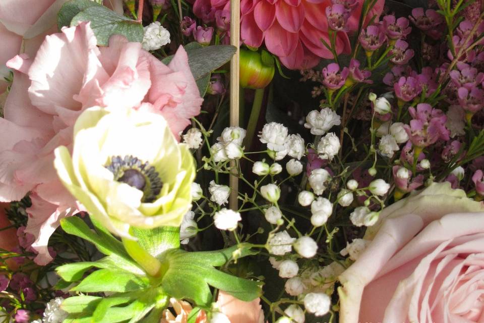 N° de table