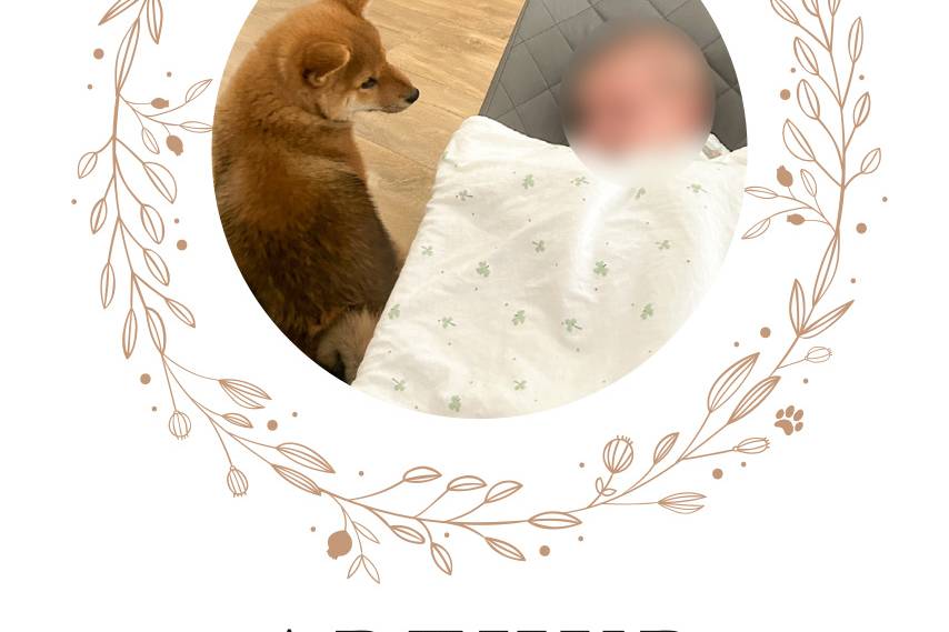 Faire-part de naissance