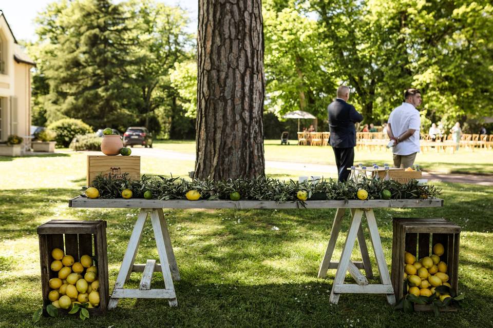 Vin d'honneur dans le parc