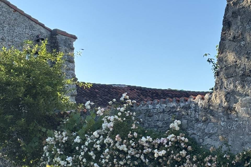 Jardin sud