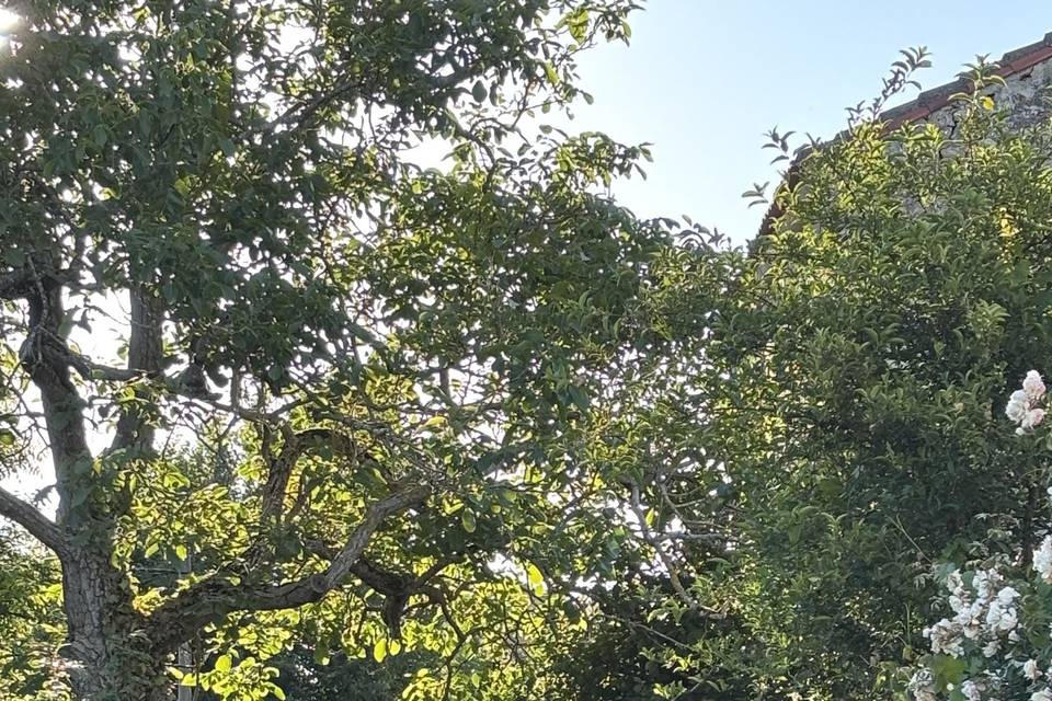 Jardin sud