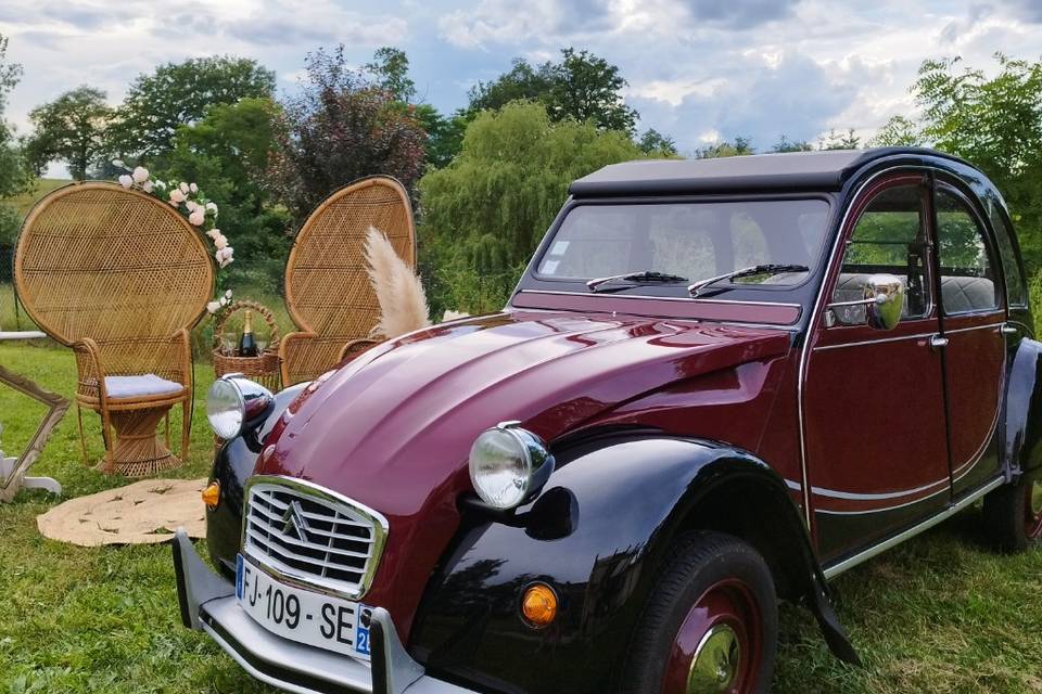 Occitanie Combi