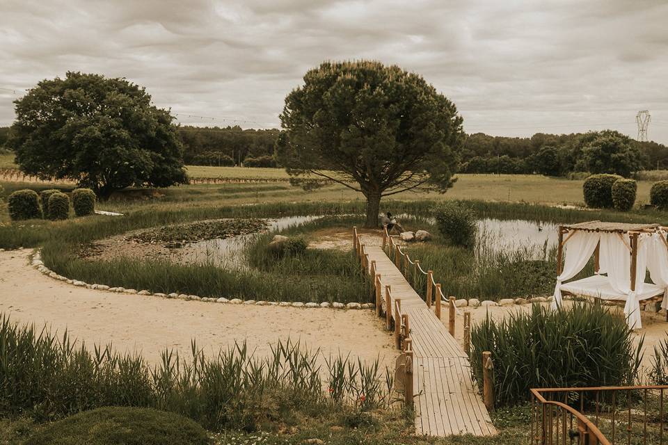 Etang du Domaine