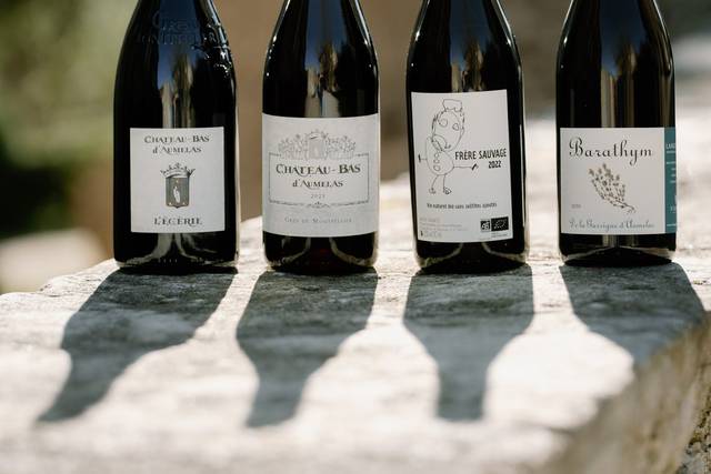 Vins rouge