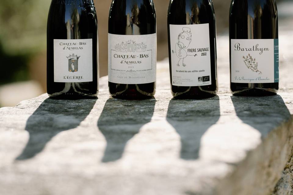 Vins rouge
