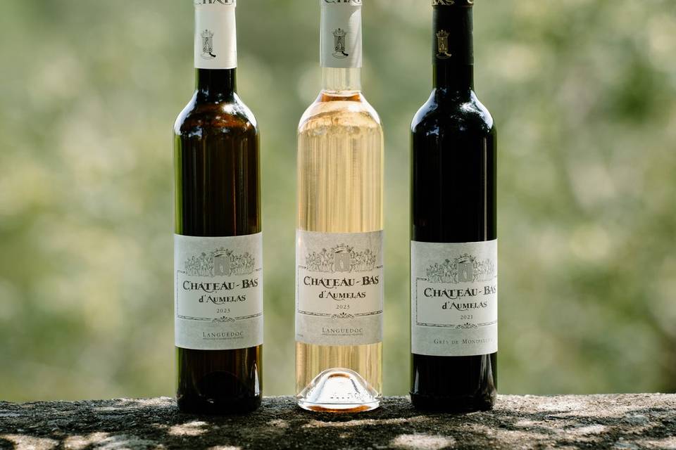 Bouteille 50 cl