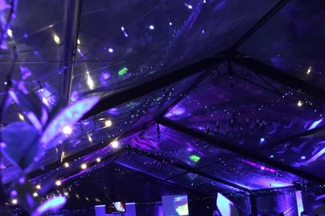 Salle illuminée en mauve