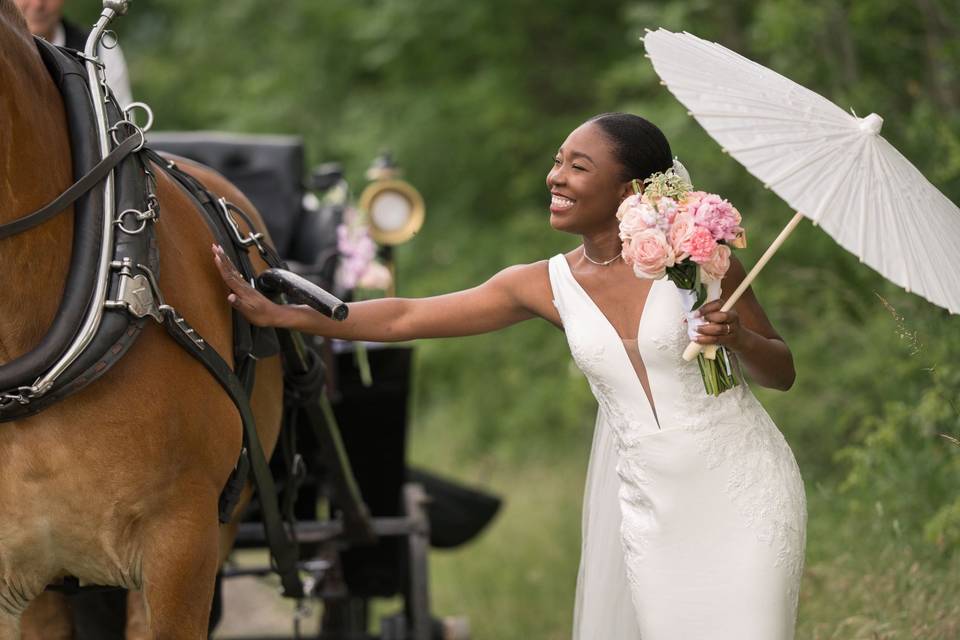 L'étalon et la mariée