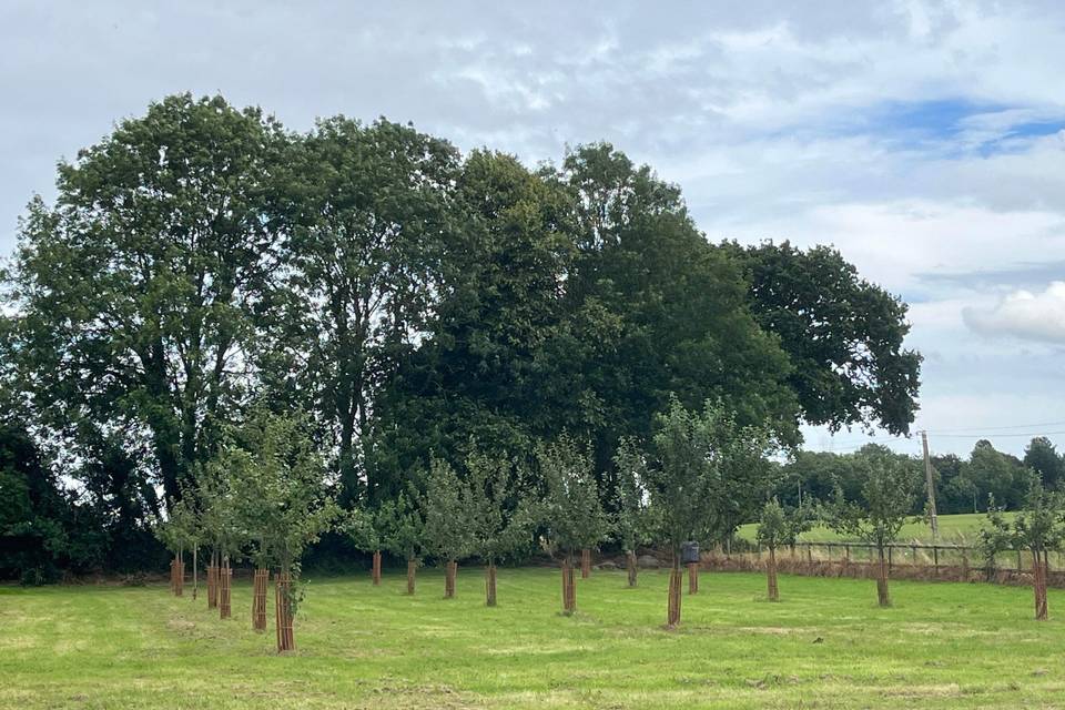 Extérieur avant du château