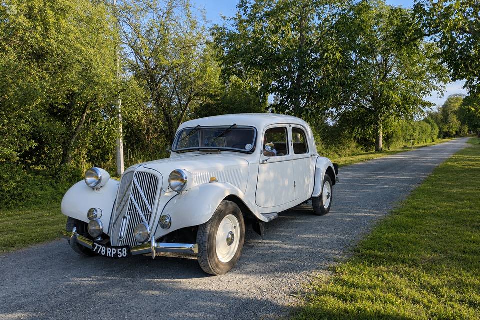 THE WEDDING TRACTION