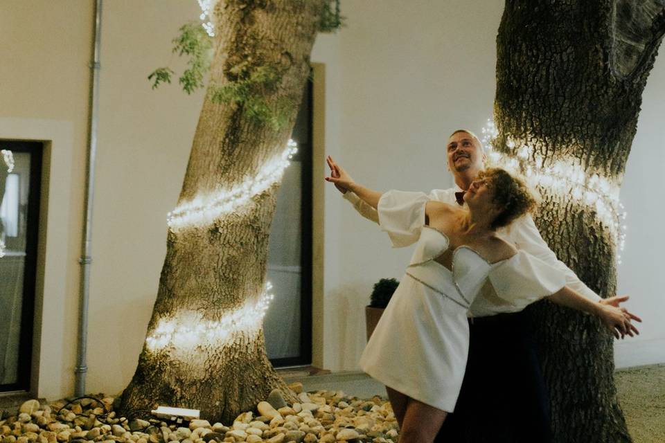 Illuminations dans les arbres