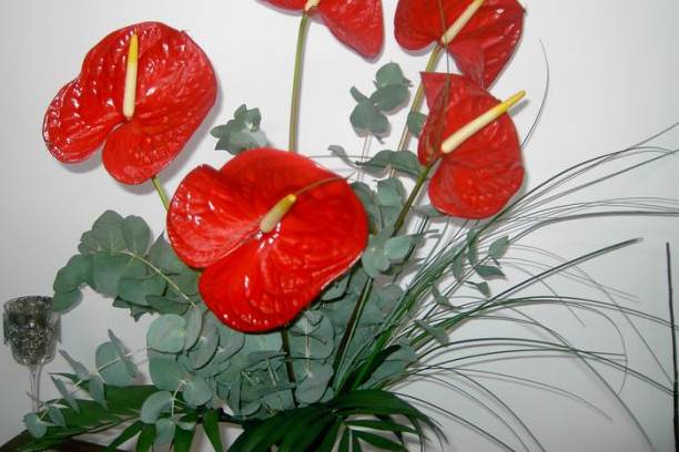 Bouquet d'anthuriums