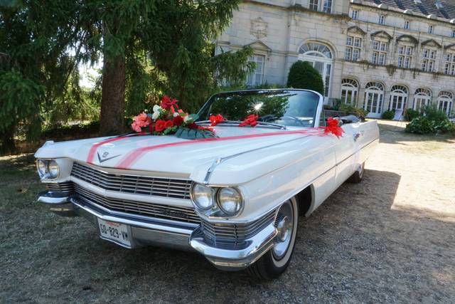 American cars XXL
