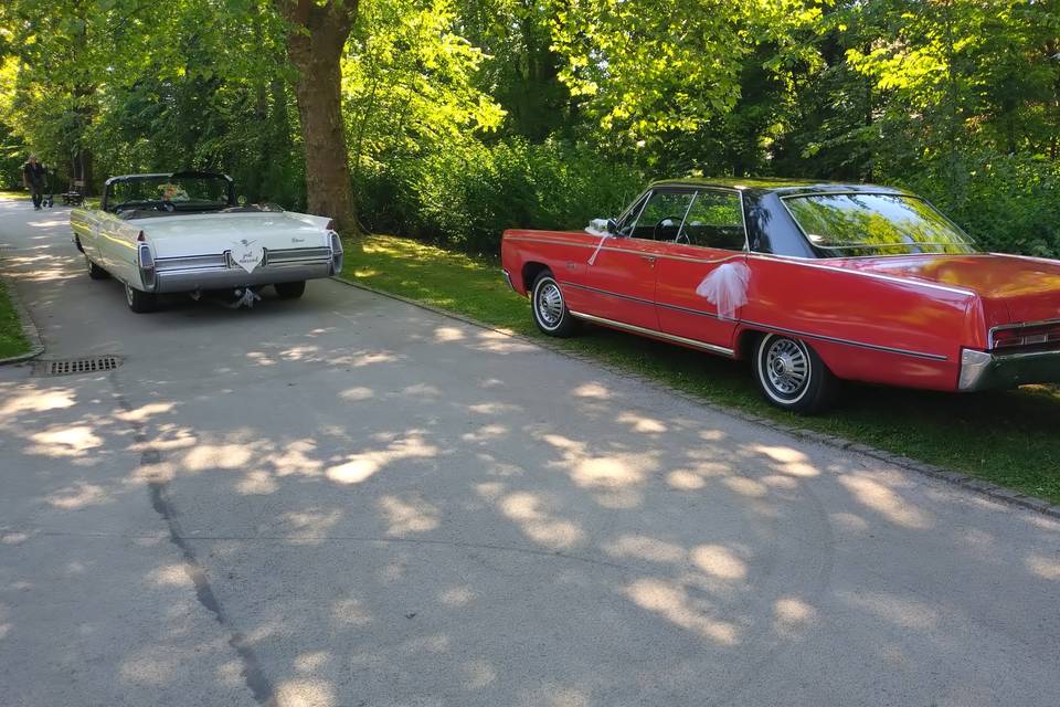La rouge ou la blanche ?