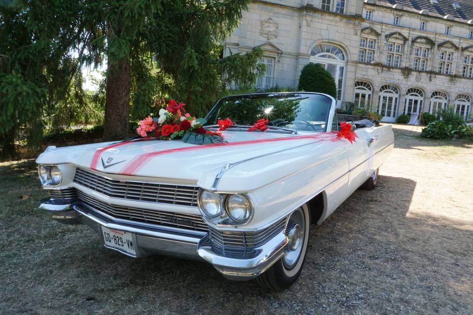American cars XXL