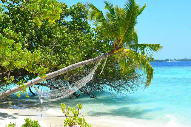 Bahamas : farniente et lagon