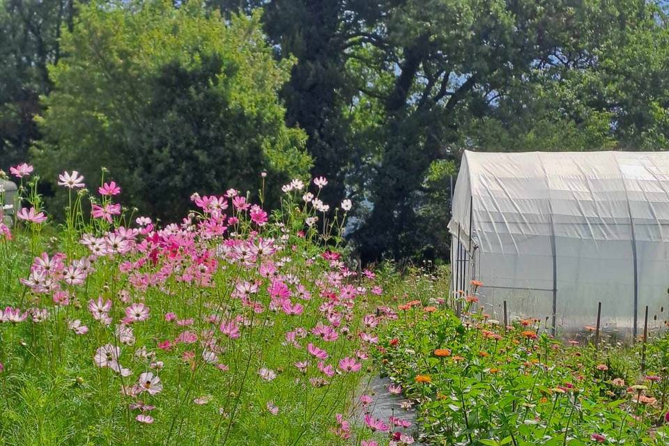 La ferme florale