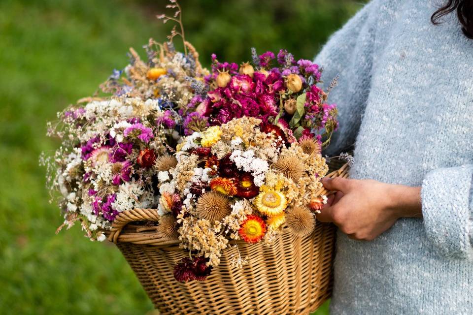 Fleurs séchées