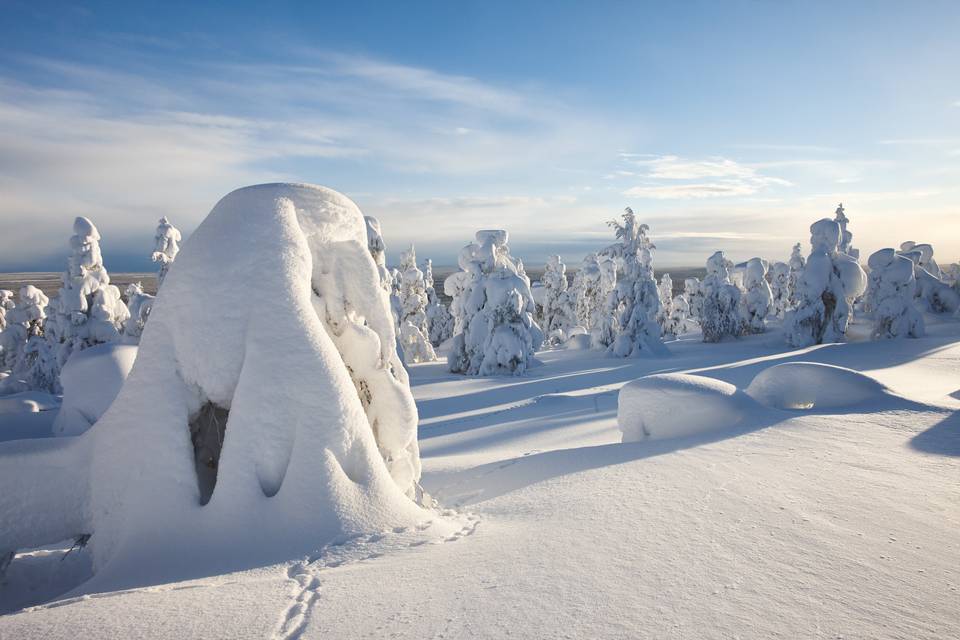 Parc national Finlande