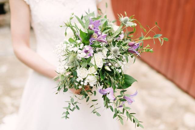 Fleurs d'Eucharis