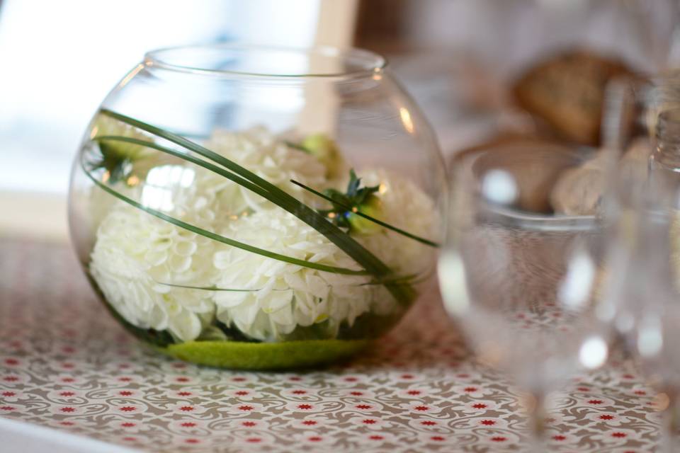 Fleurs d'Eucharis