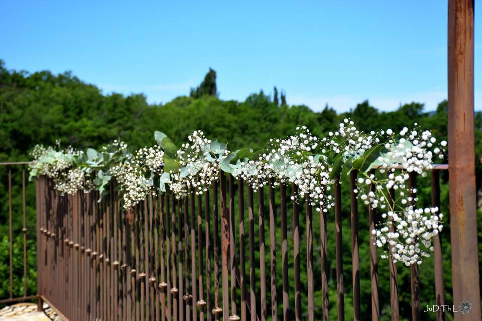 Fleurs d'Eucharis