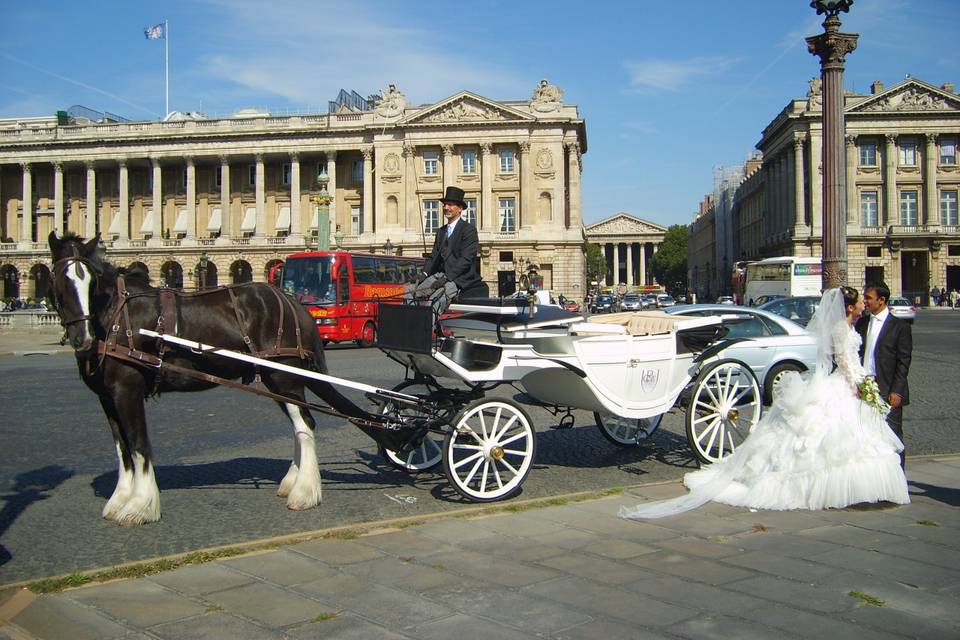 Paris Calèches