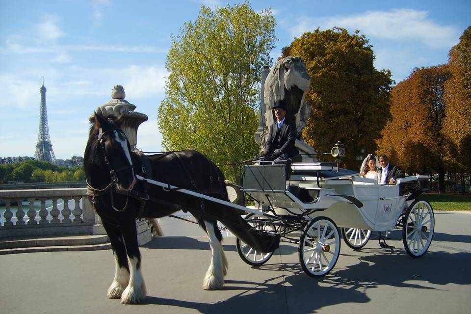 Paris Calèches