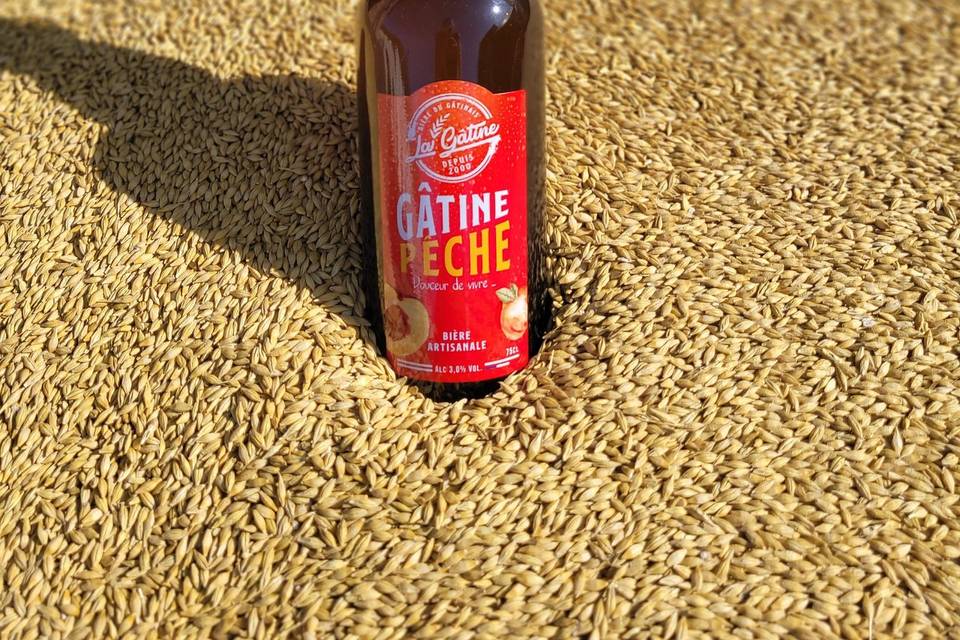 Biere La Gatine