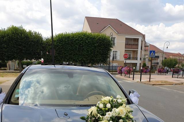 Décoration Voiture