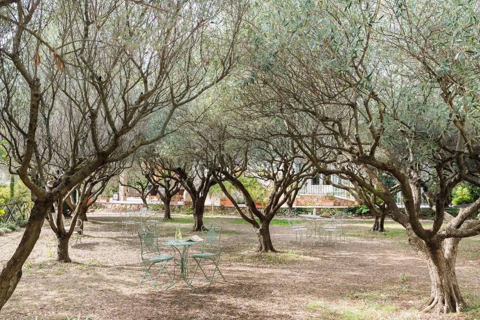 Lou Calen Retreat
