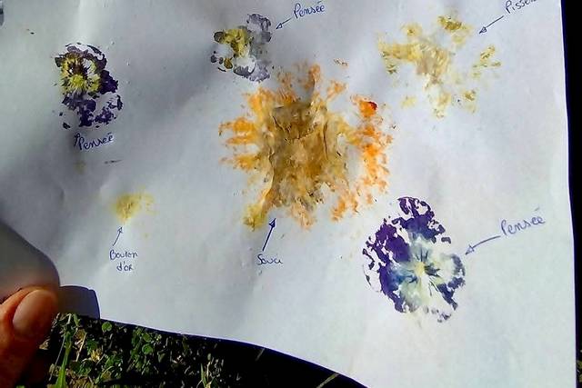 Peinture avec des fleurs