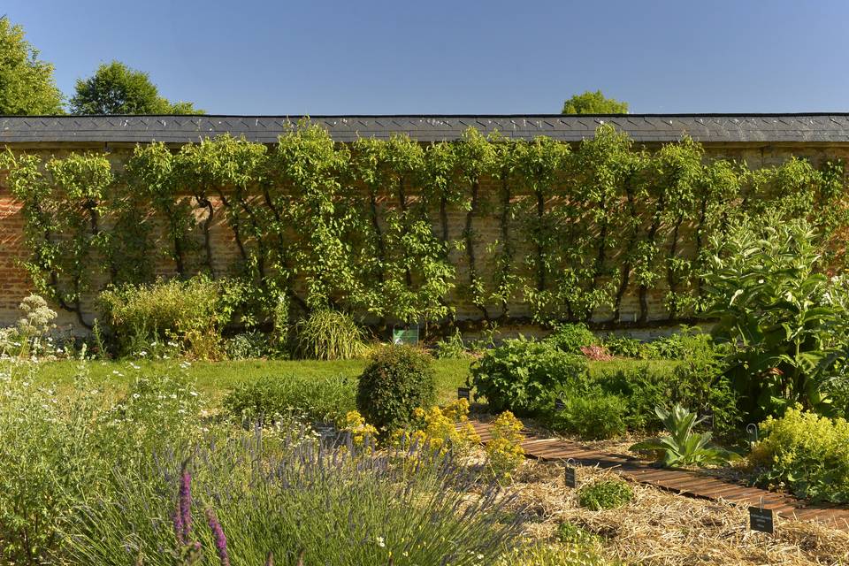 Le jardin méditérannéen