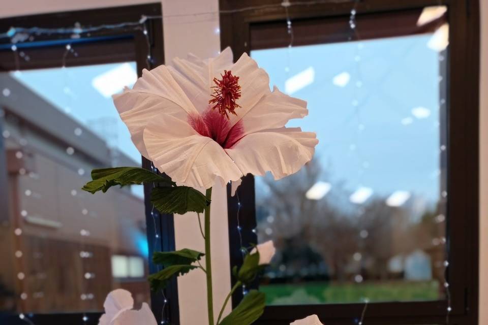 Hibiscus géant rose