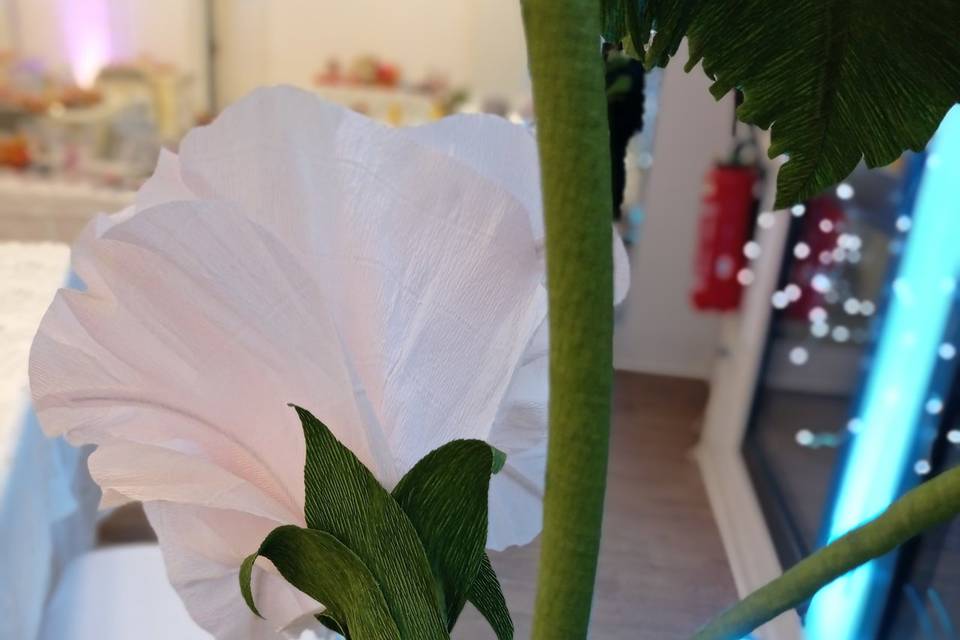 Détail fleur