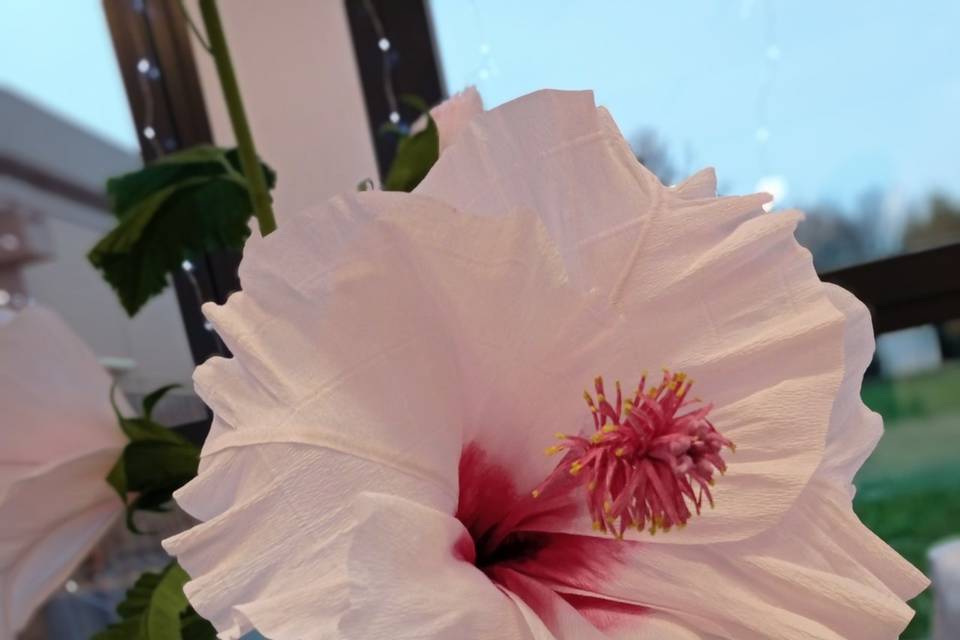 Détail fleur