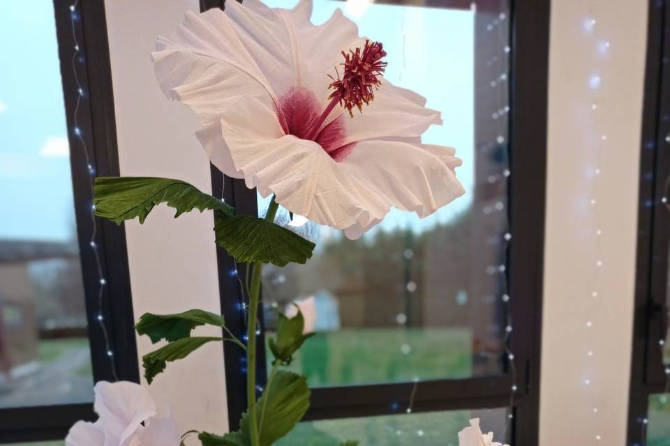 Cœur Papier