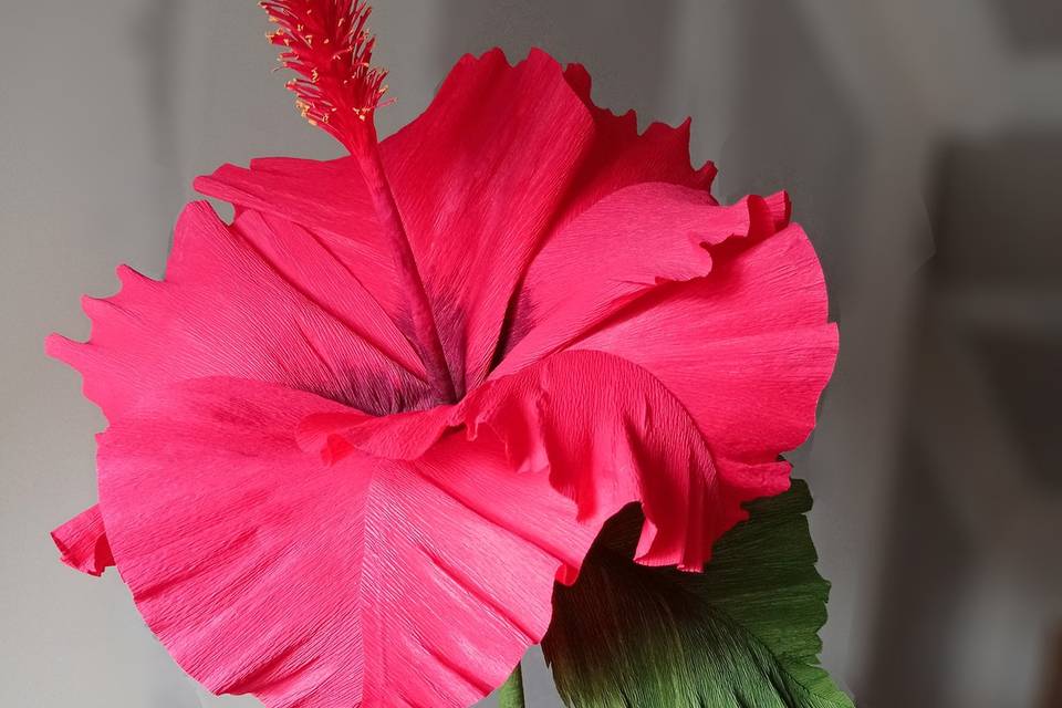 Détail fleur
