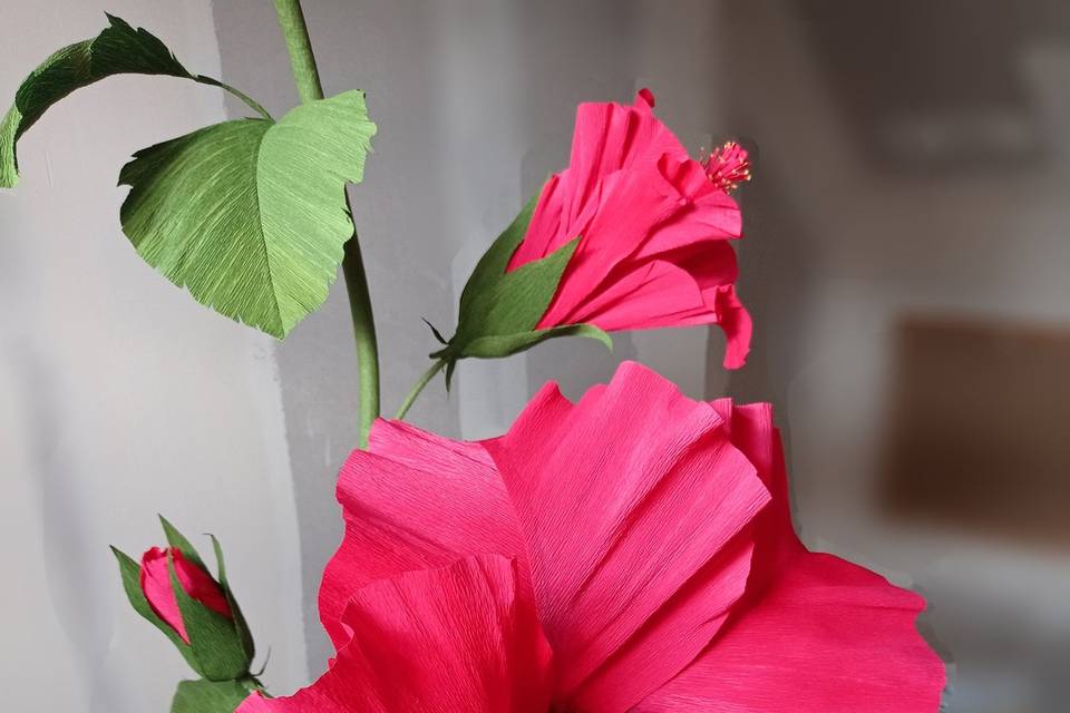 Détail fleur