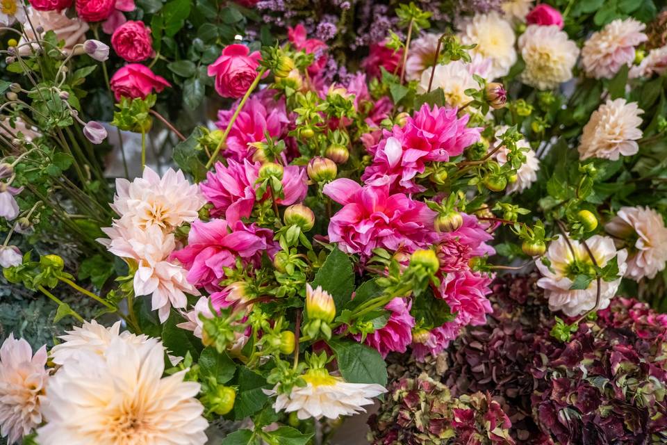 Fleurs Assorties