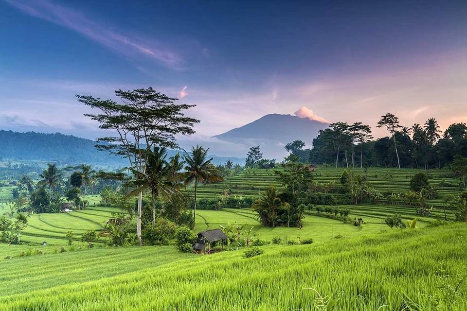 Bali